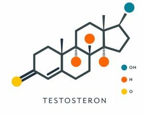 testosteron grundstenar